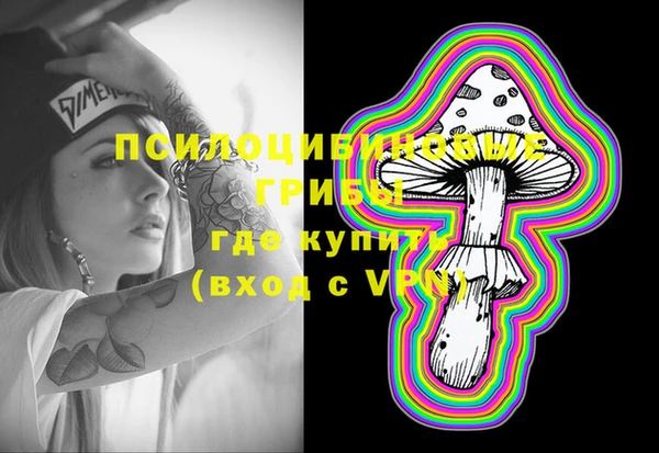 ешки Бугульма
