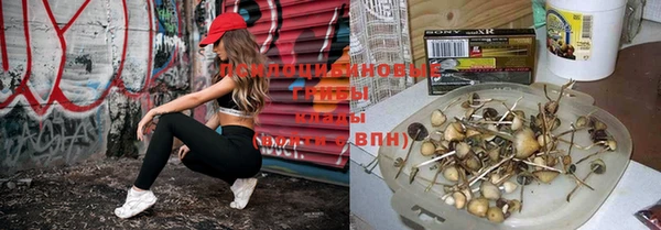 ешки Бугульма